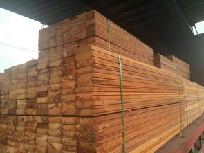 正宗澳洲賈拉木市場價格解析與建材批發(fā)指南